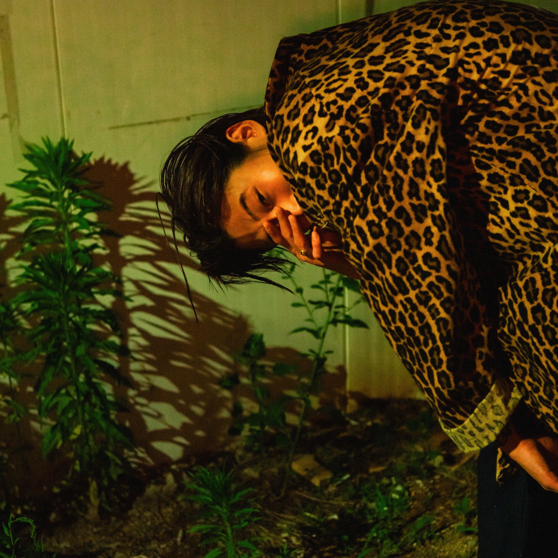 Album cover of PARADISE SEOUL