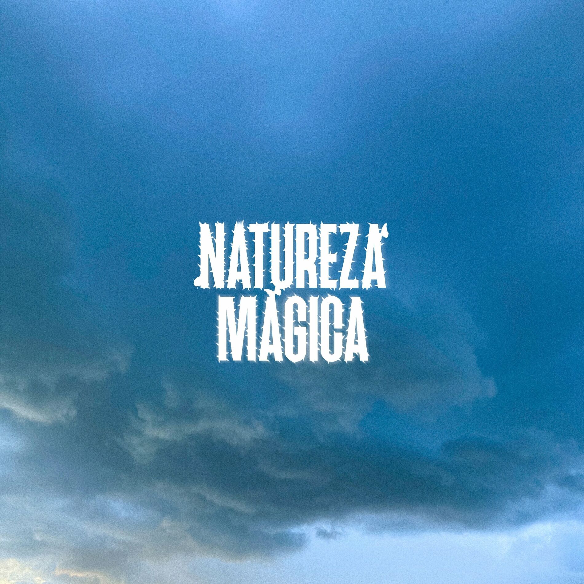 Album cover of Permanent Rainfall