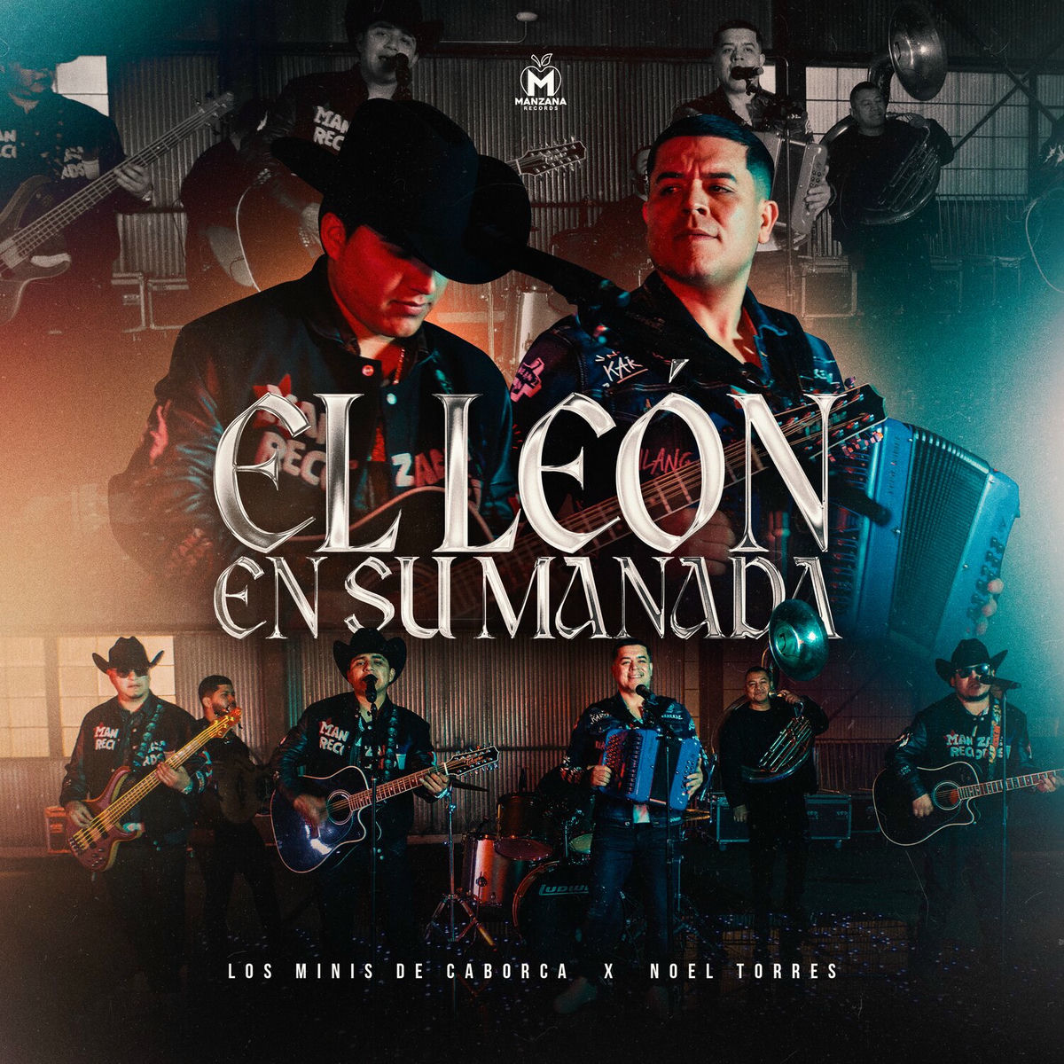 Album cover of El León En Su Manada