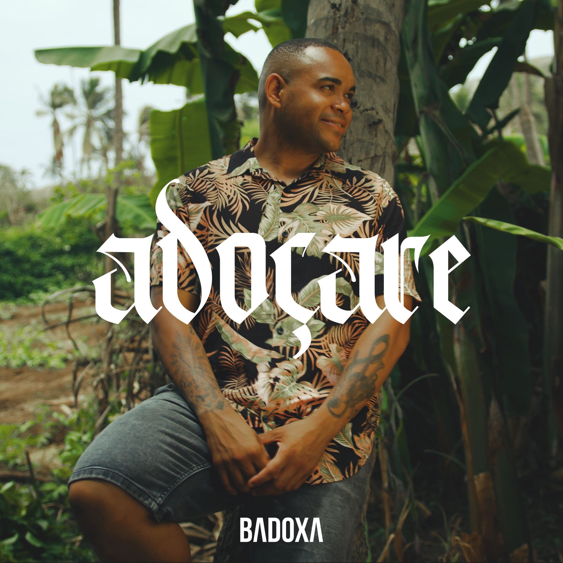 Album cover of Adoçare