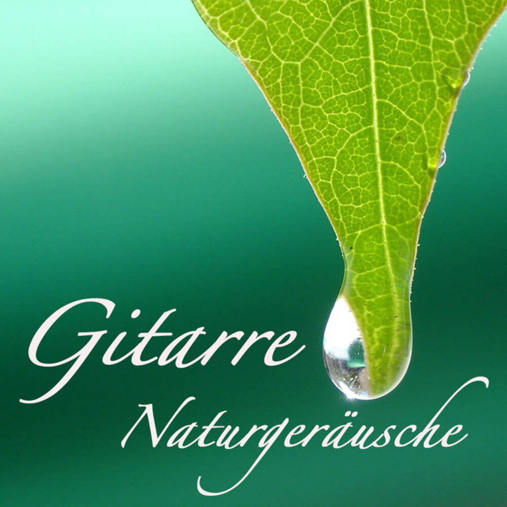 Picture of Gitarre Naturgeräusche