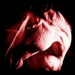 Cover of How to Kill a Horse