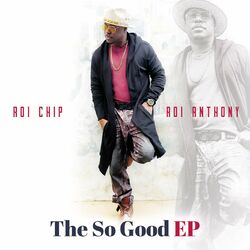 Cover of The so Good Project