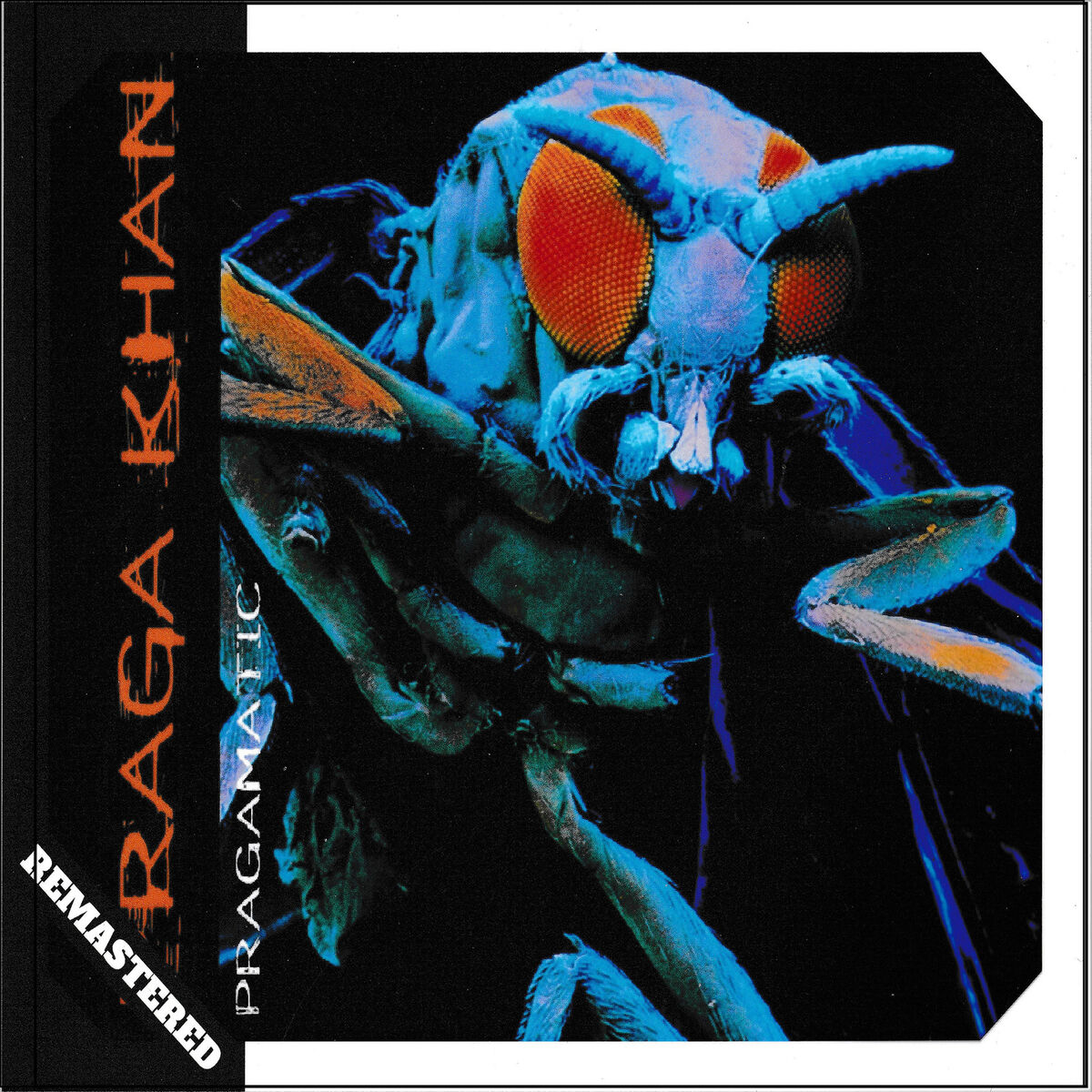 Album cover of Pragamatic (Remastered)