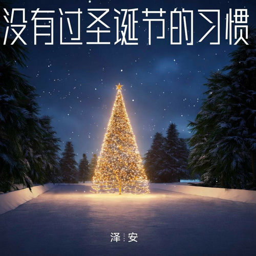 没有过圣诞节的习惯
