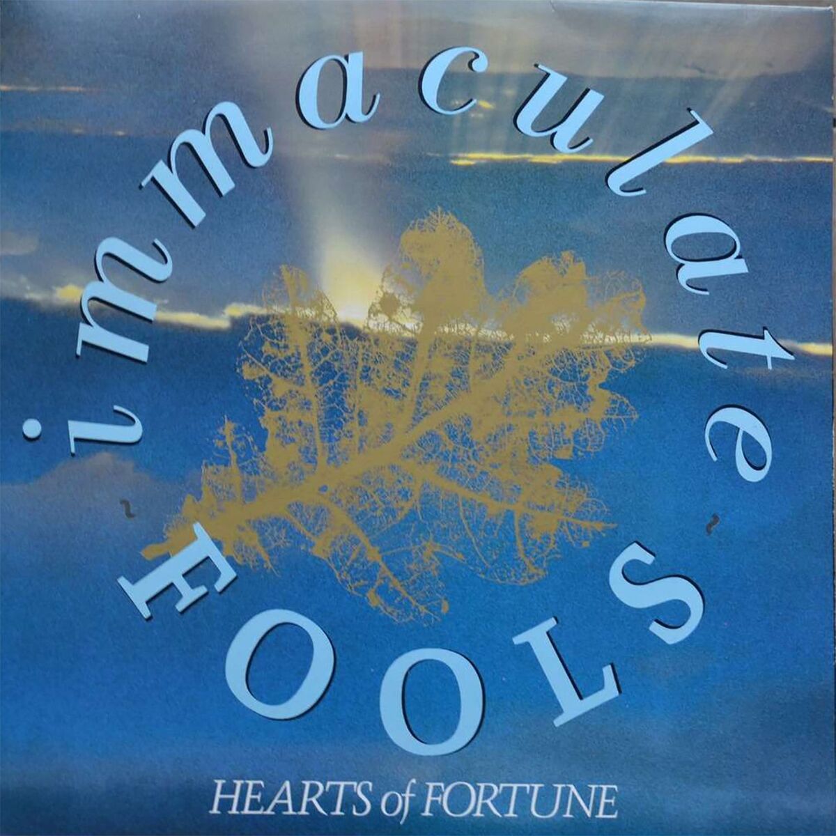 Album cover of Hearts of Fortune