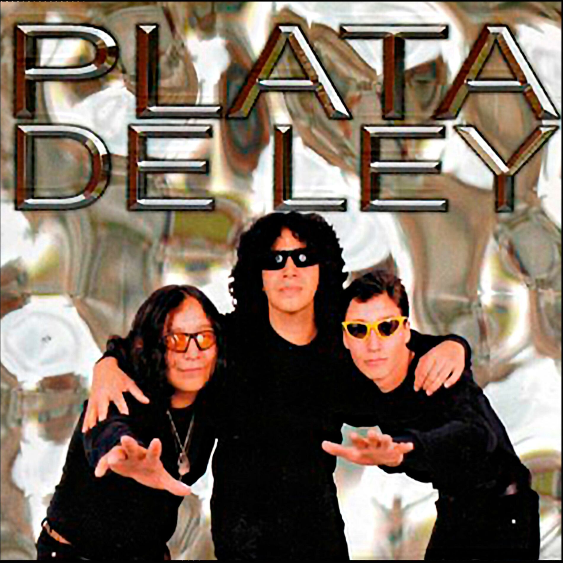 Album cover of Plata de Ley