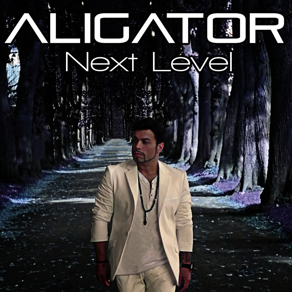 Picture of Next Level