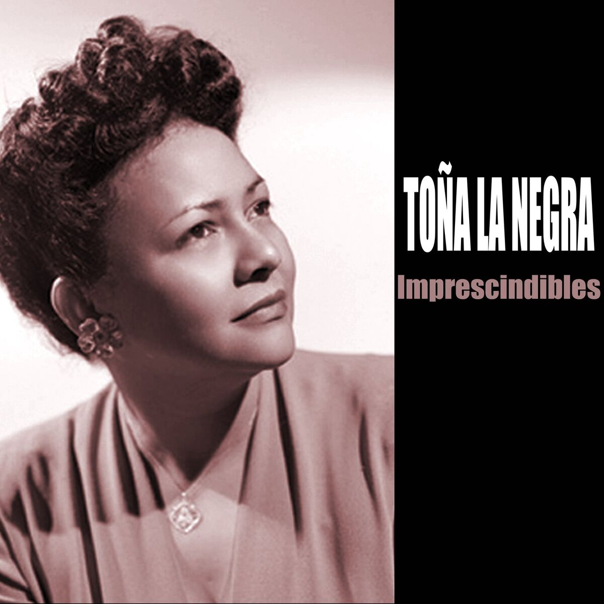 Album cover of Amor Perdido