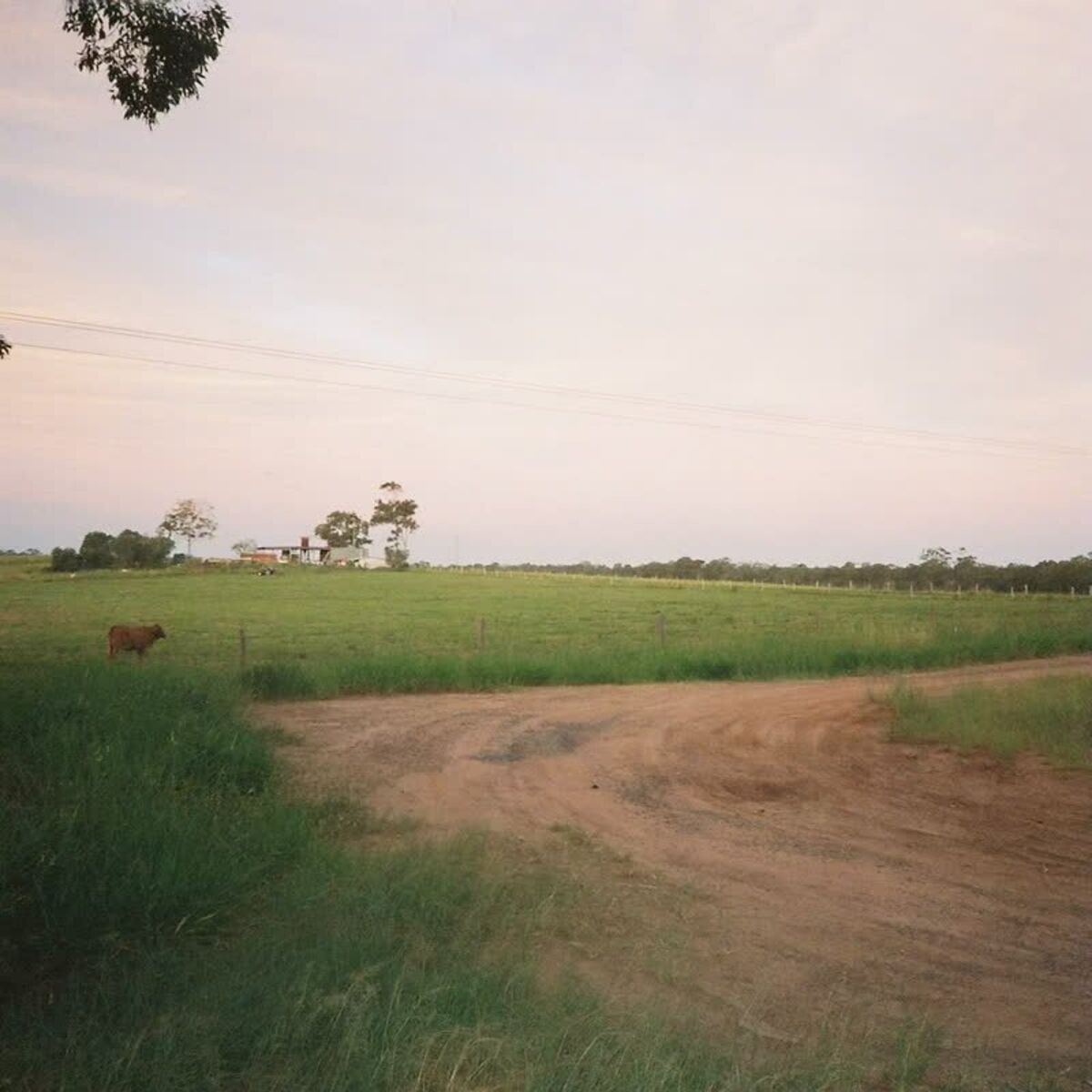 Album cover of The Chronicles of Gerald Womack