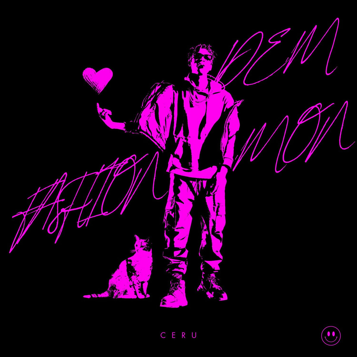 Album cover of Fashion Demon