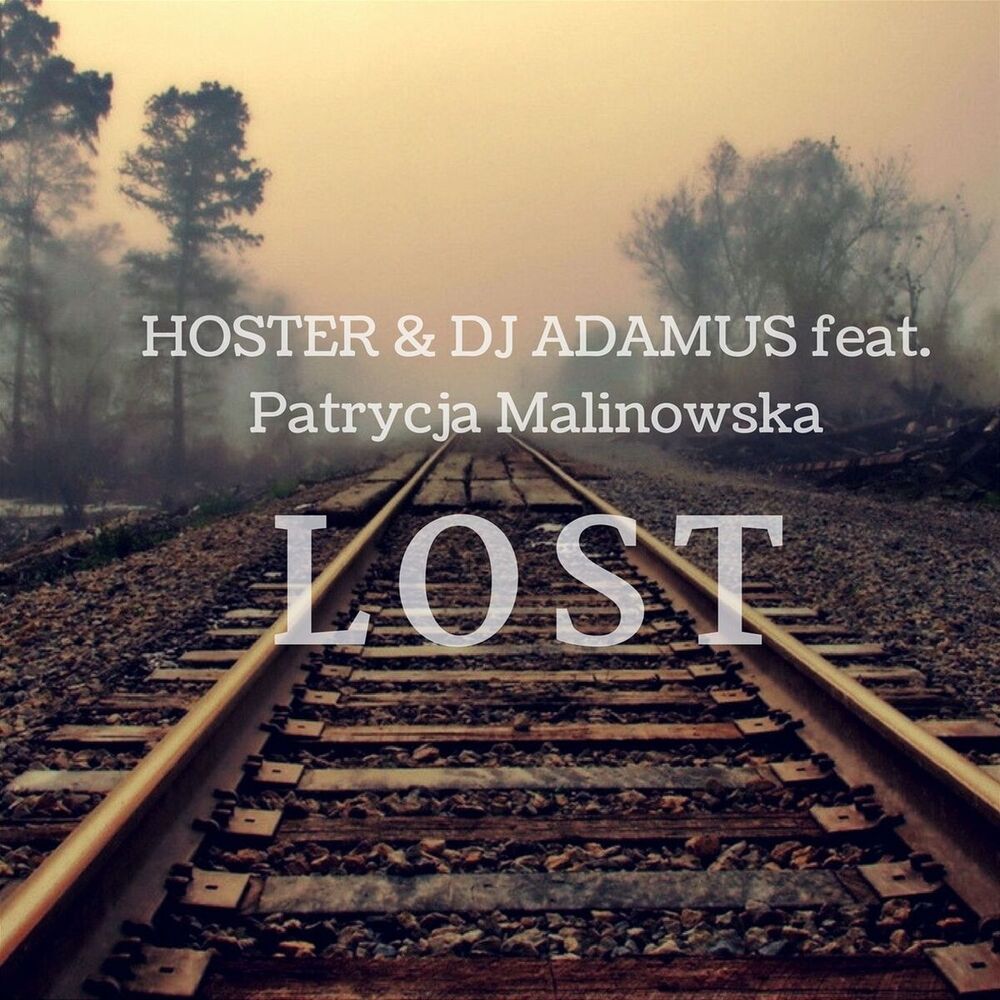 Picture of Lost