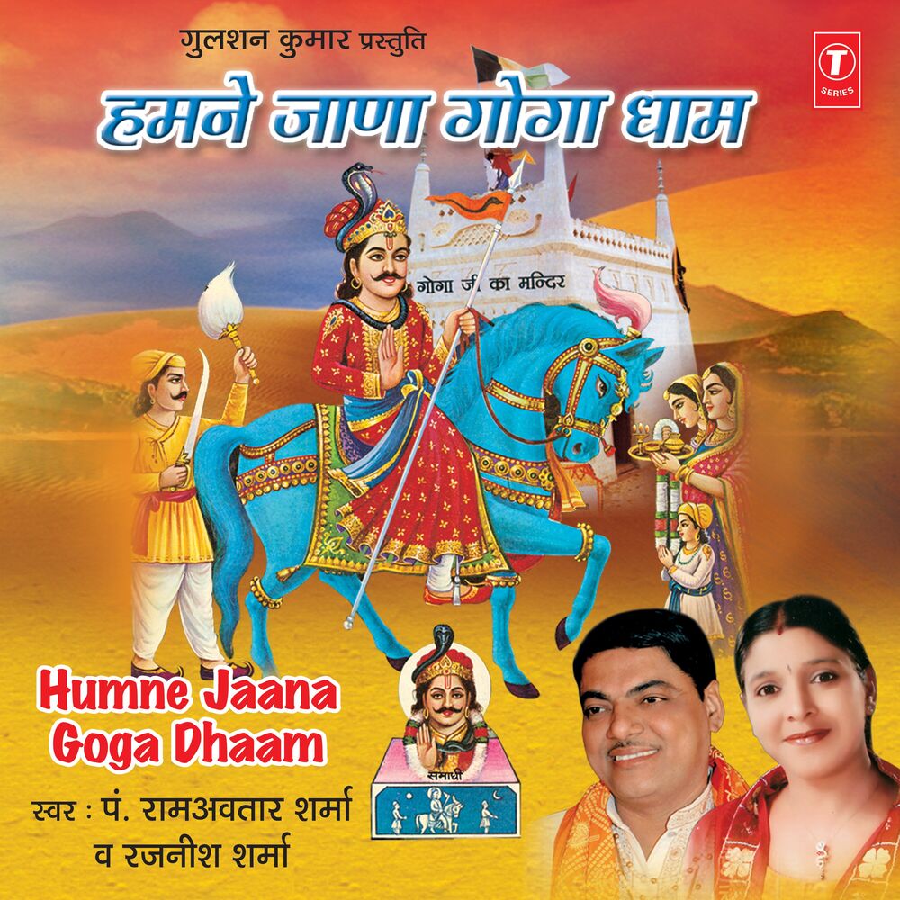 Picture of Humne Jaana Goga Dhaam