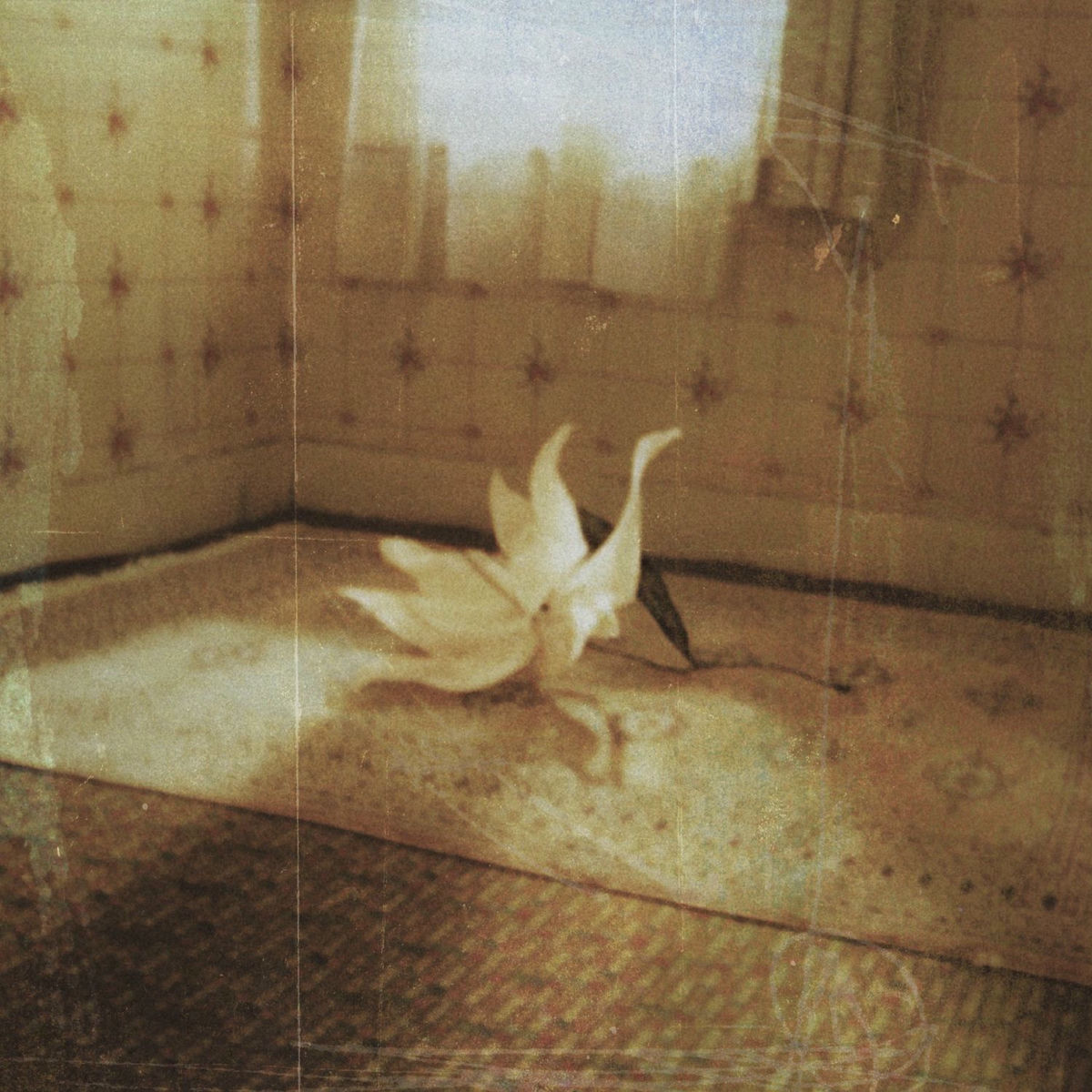 Album cover of Siren