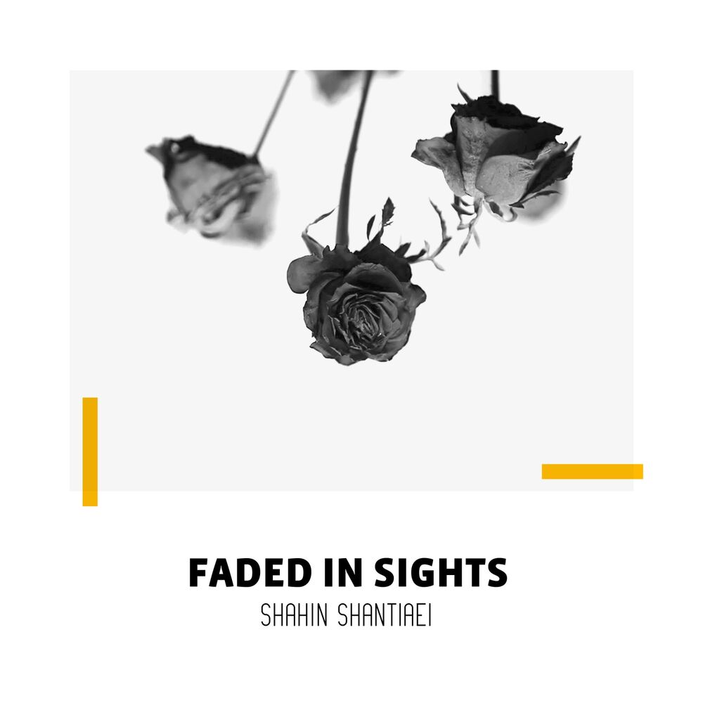 Picture of Faded in Sights