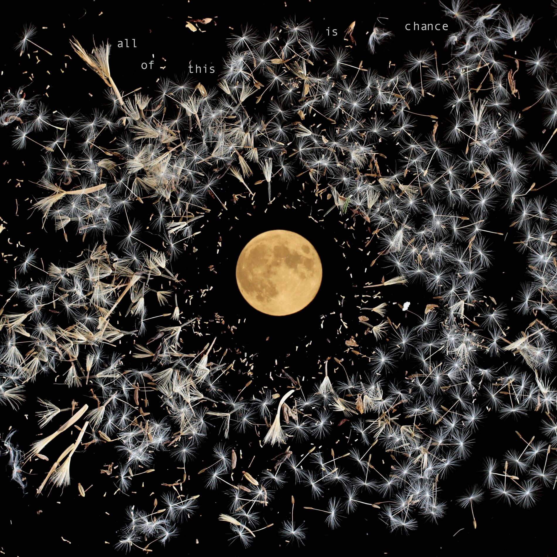 Album cover of Old Note