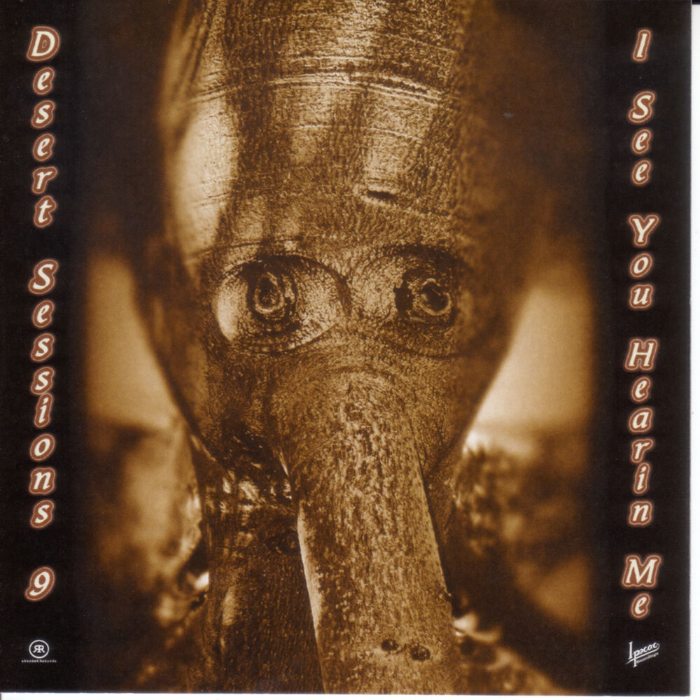 Picture of The Desert Sessions Volume 9 & 10