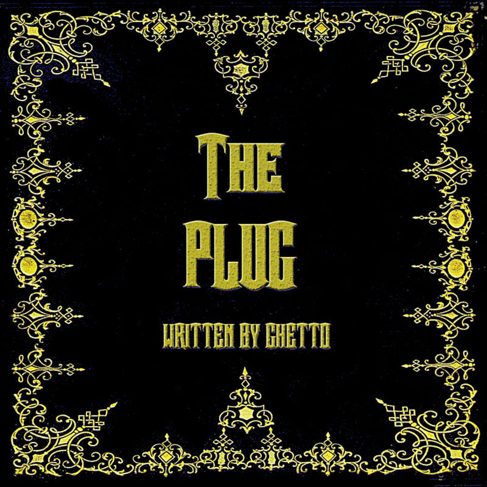 Picture of The Plug
