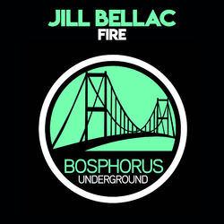 Cover of Fire