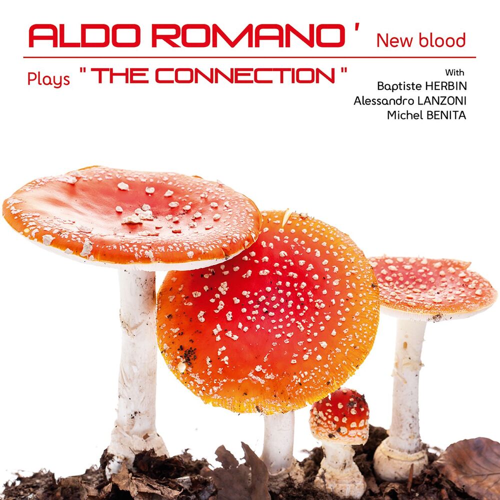 Picture of New Blood (feat. Baptiste Herbin, Alessandro Lanzoni & Michel Benita)
