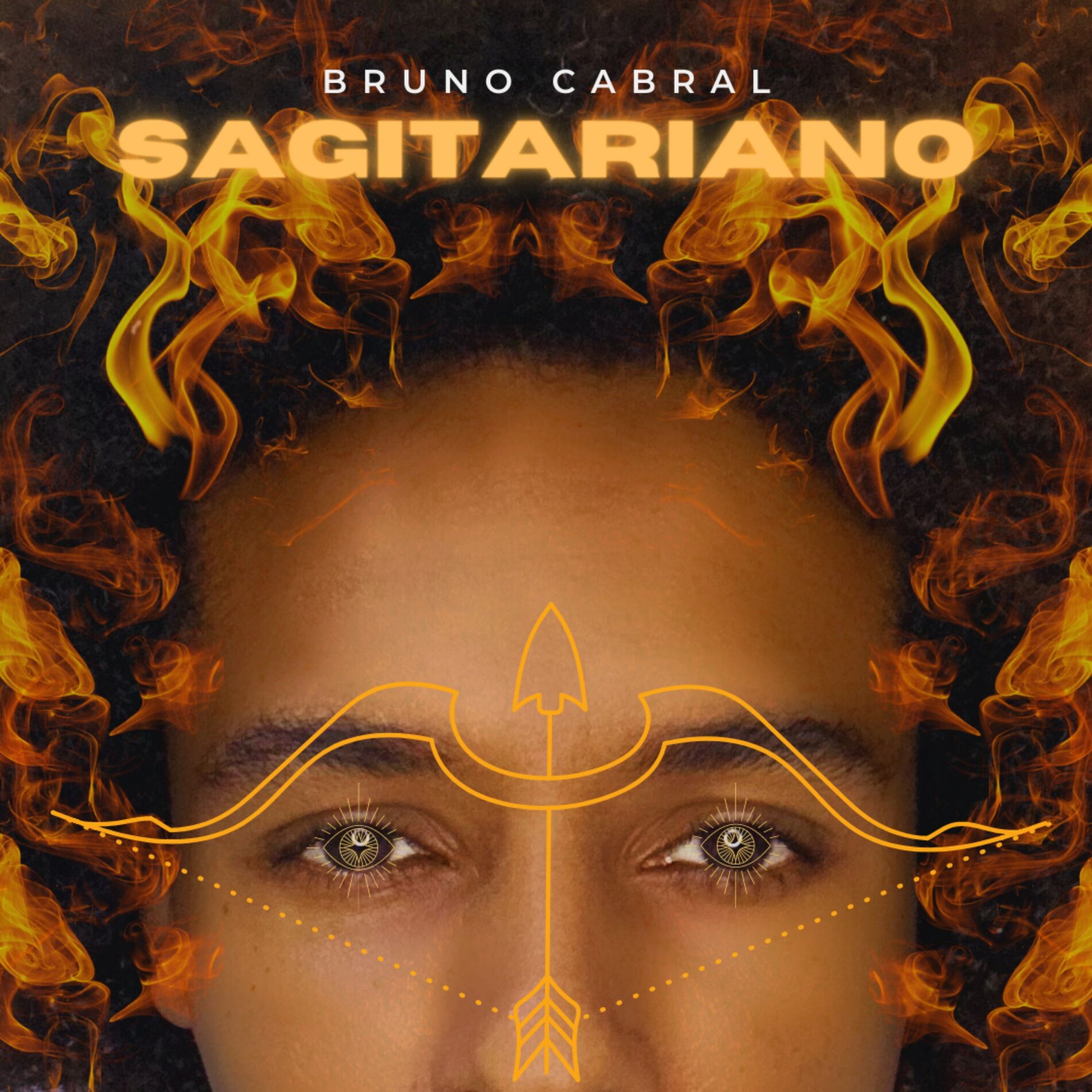 Album cover of Vai