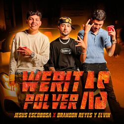 Cover of Weritas Polveras