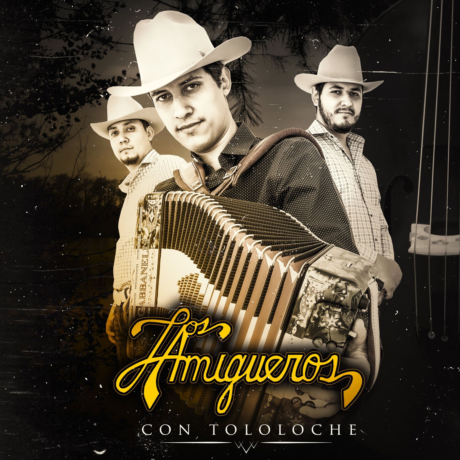 Album cover of Con Tololoche