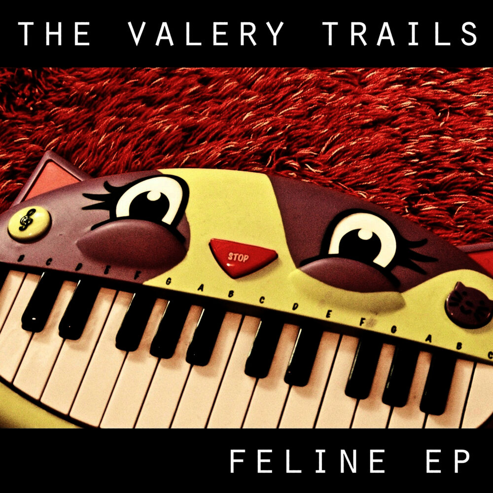 Picture of Feline E.P.