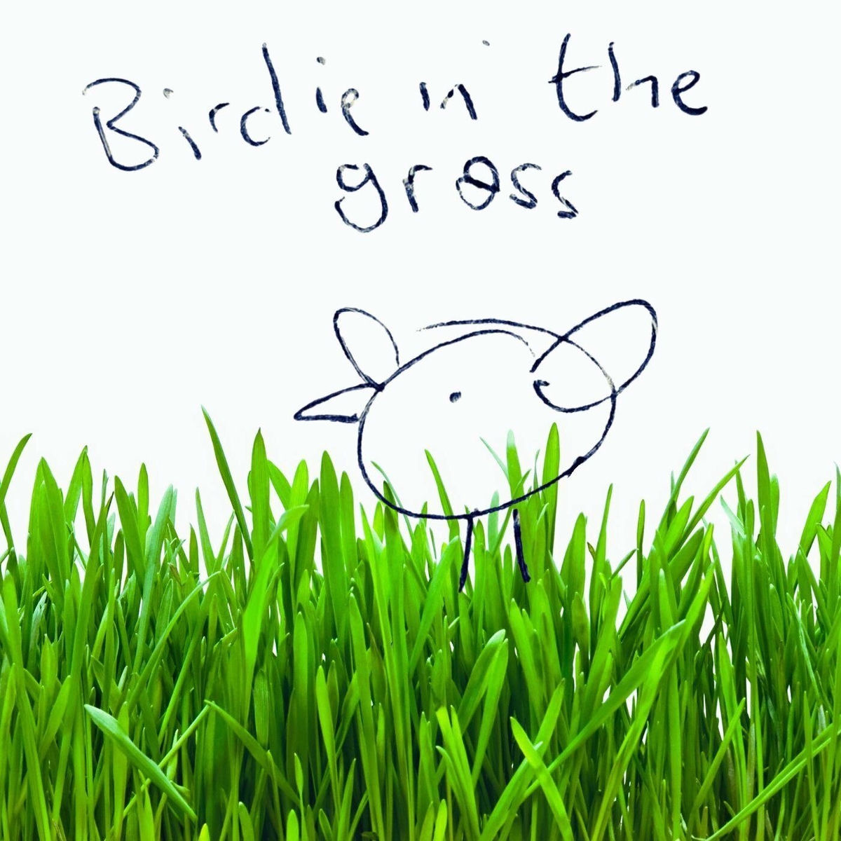 Album cover of Birdie in the Grass