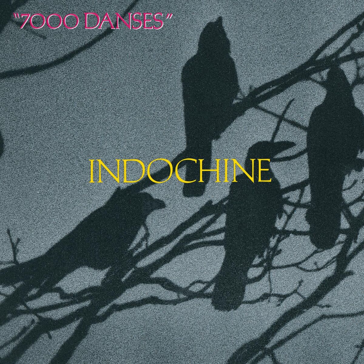 Album cover of 7000 danses