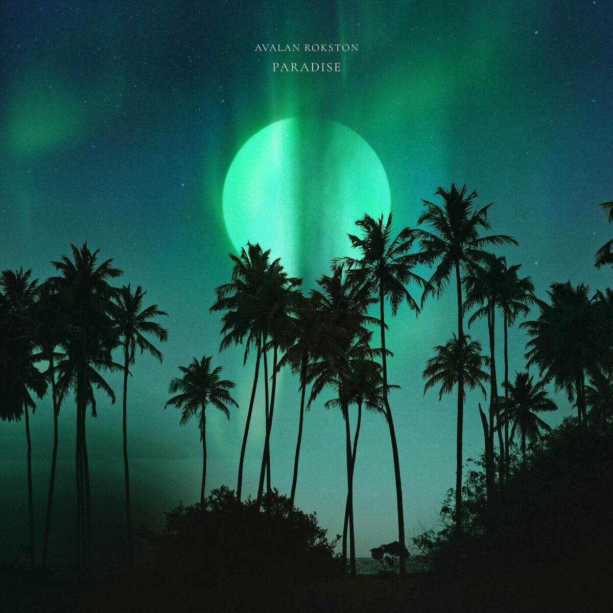 Album cover of Paradise