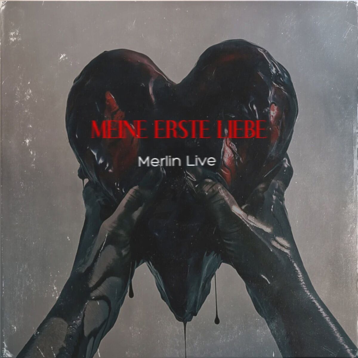 Album cover of Meine Erste Liebe