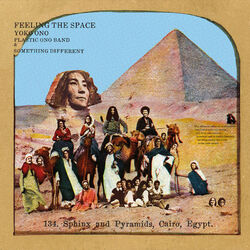 Cover of Feeling The Space