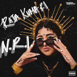 Cover of N.R.I.