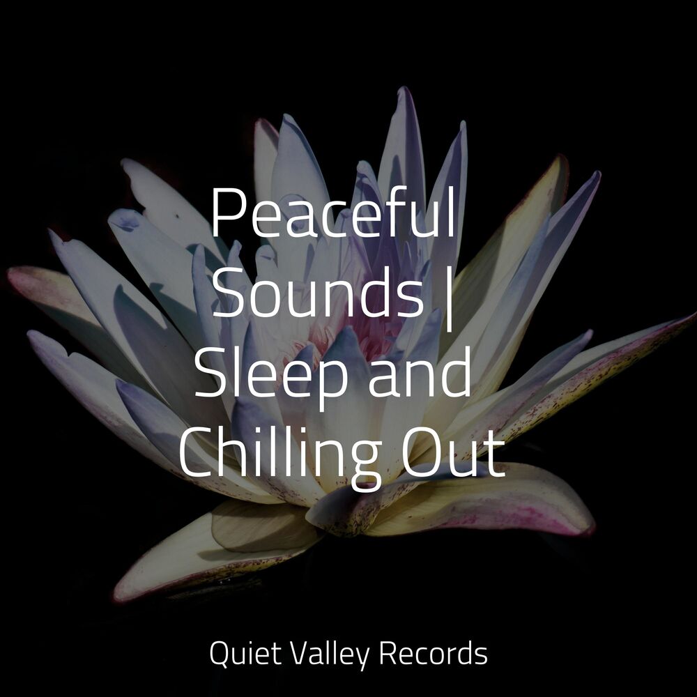 Picture of Peaceful Sounds | Sleep and Chilling Out