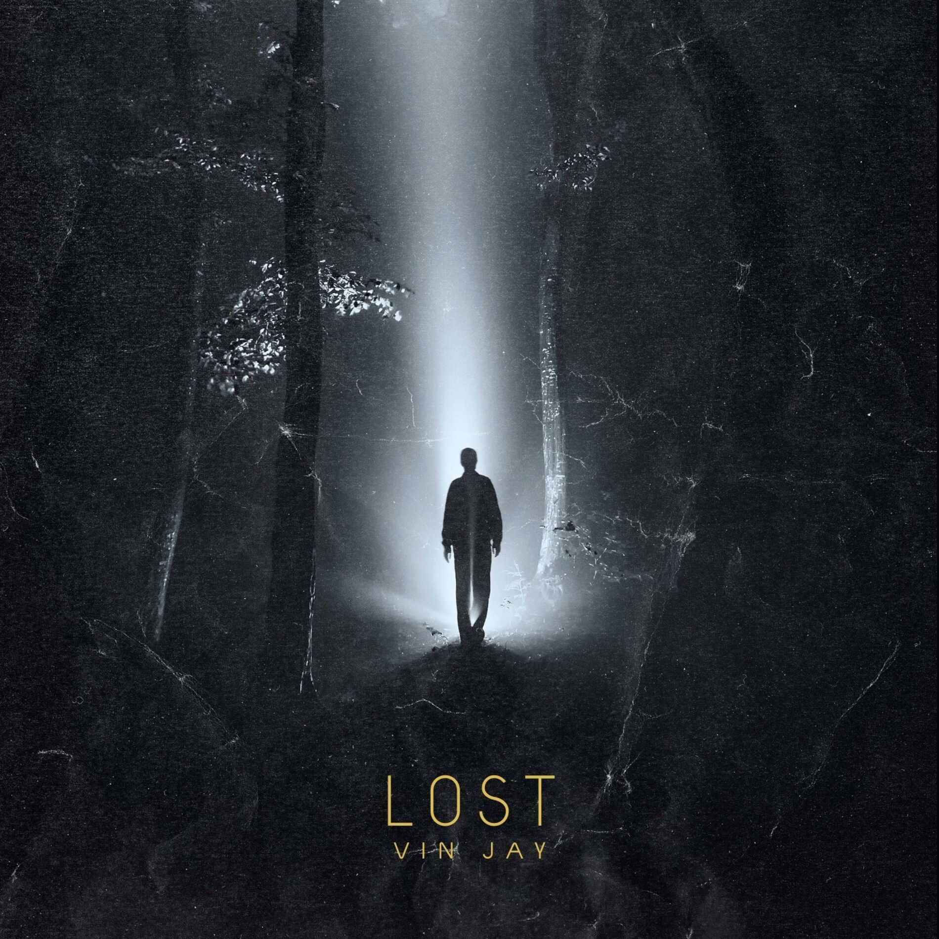 Album cover of Lost