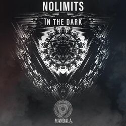 Cover of In the Dark