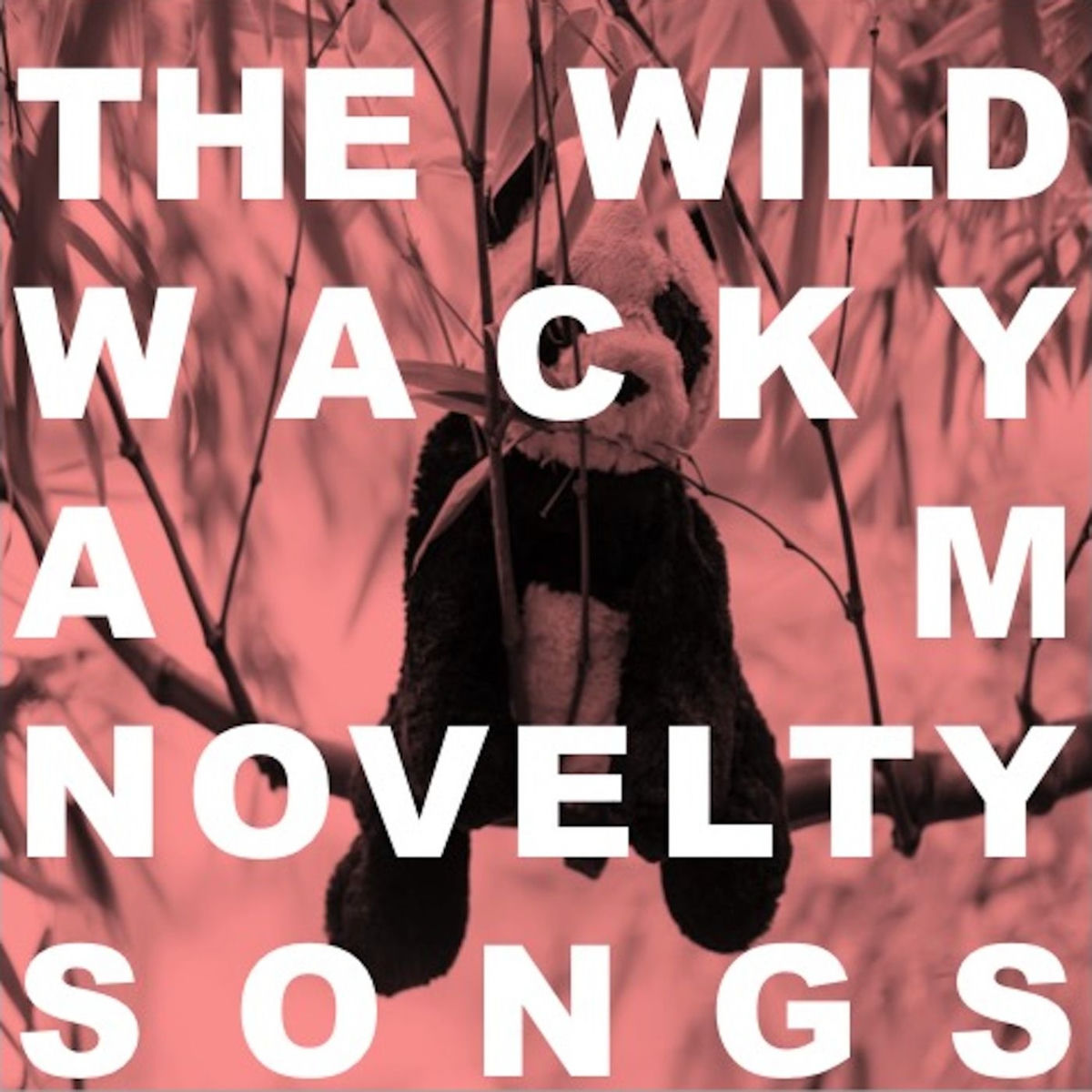 Album cover of The Wild Wacky AM Novelty Songs