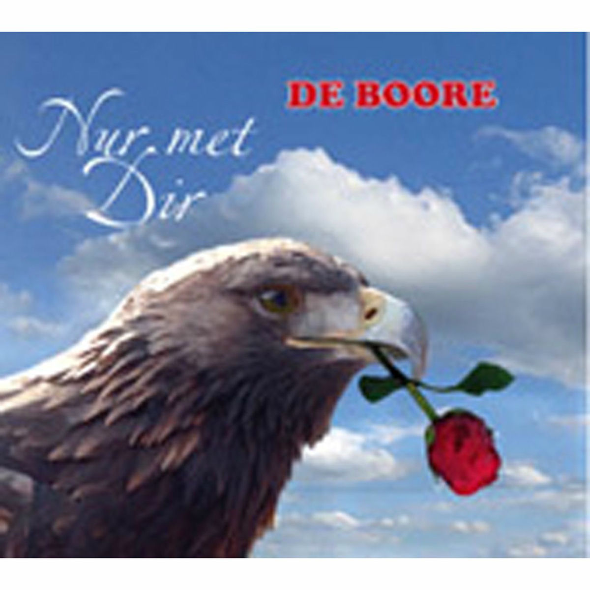 Album cover of Nur met Dir