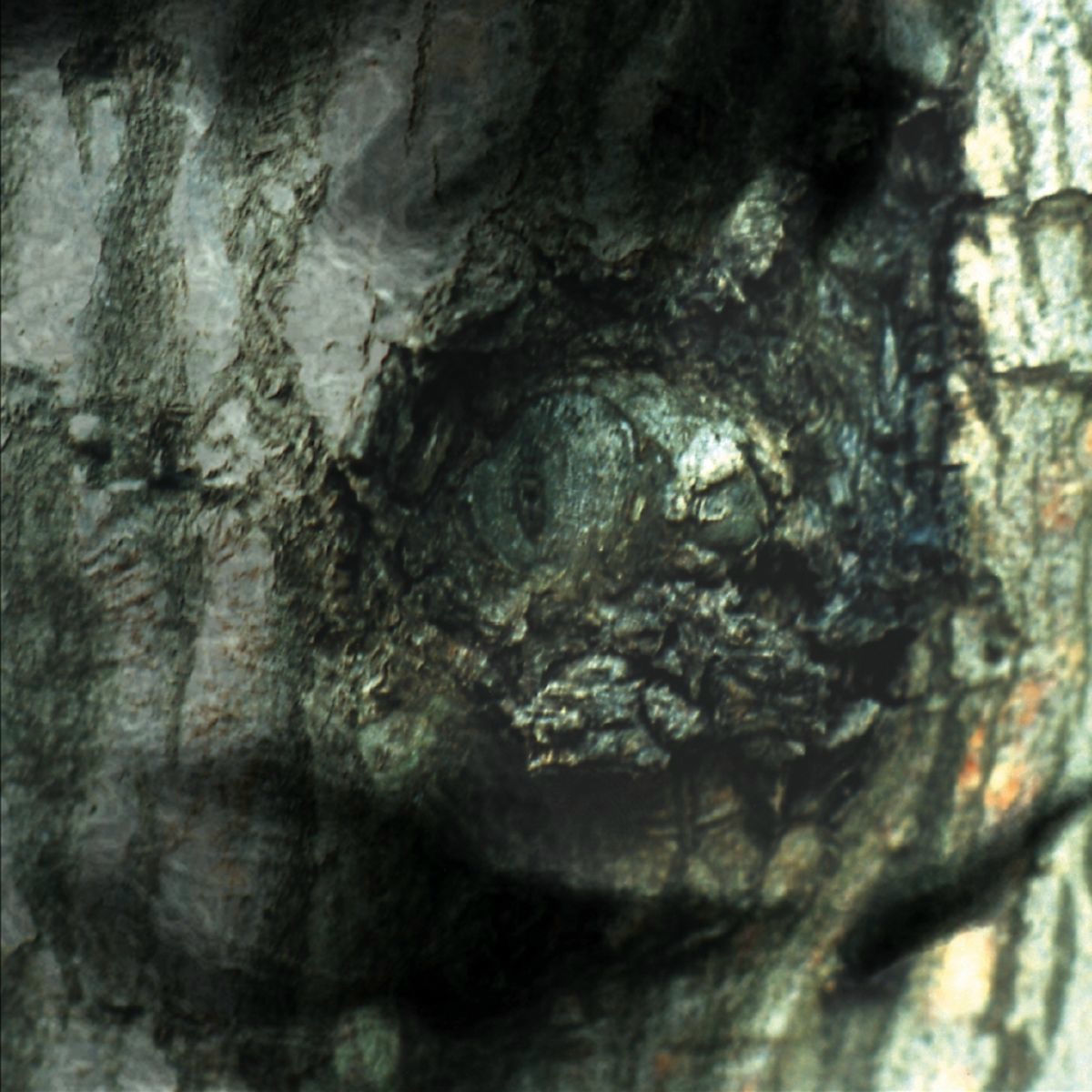 Album cover of Banquet