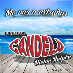 Cover of Me Vas a Extrañar