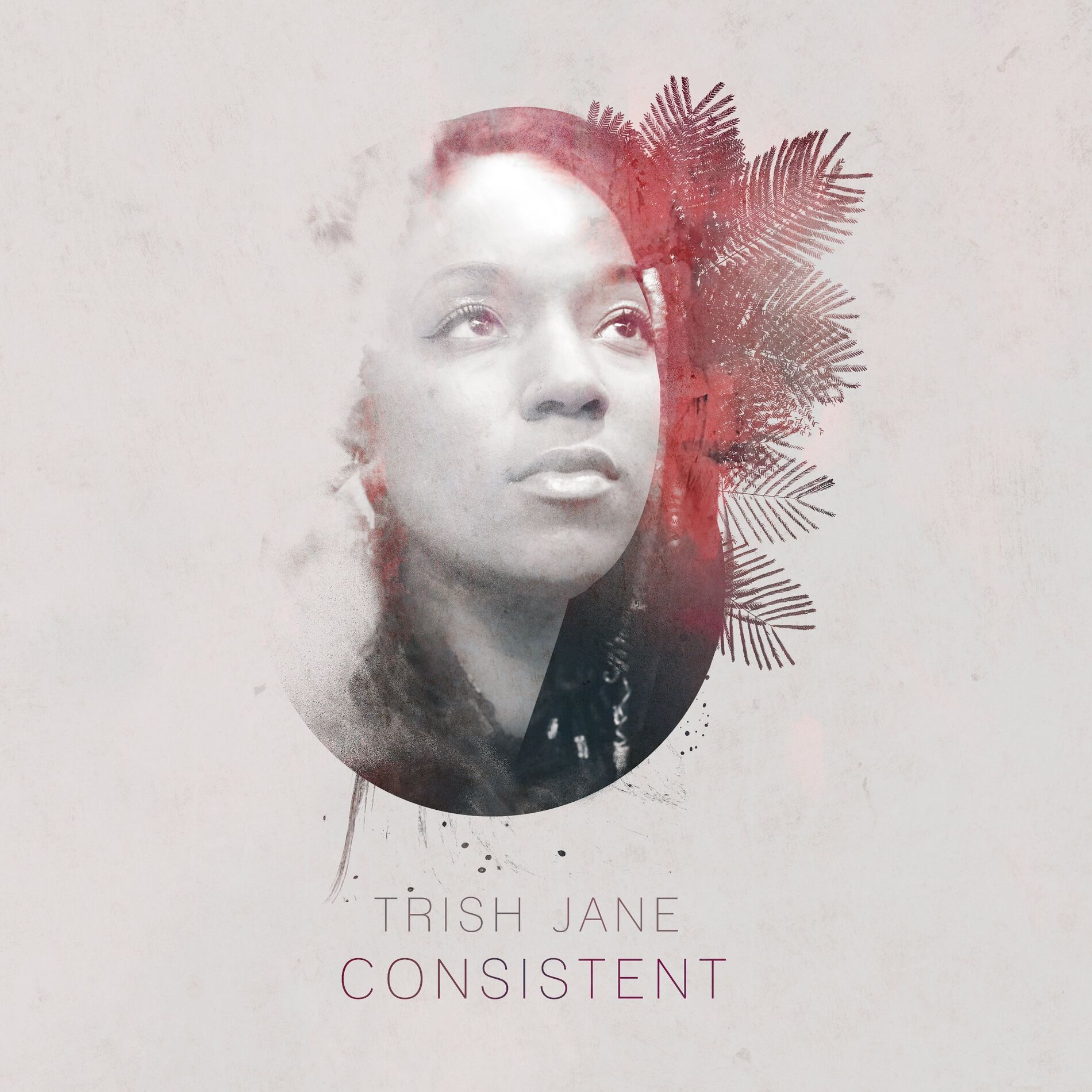 Album cover of Consistent