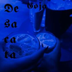 Cover of Desacata