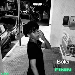 Cover of Bolei um Finin