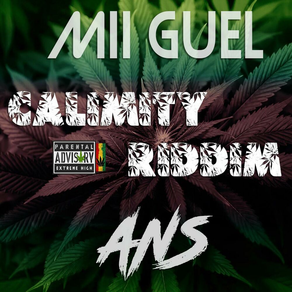 Picture of Calimity Riddim