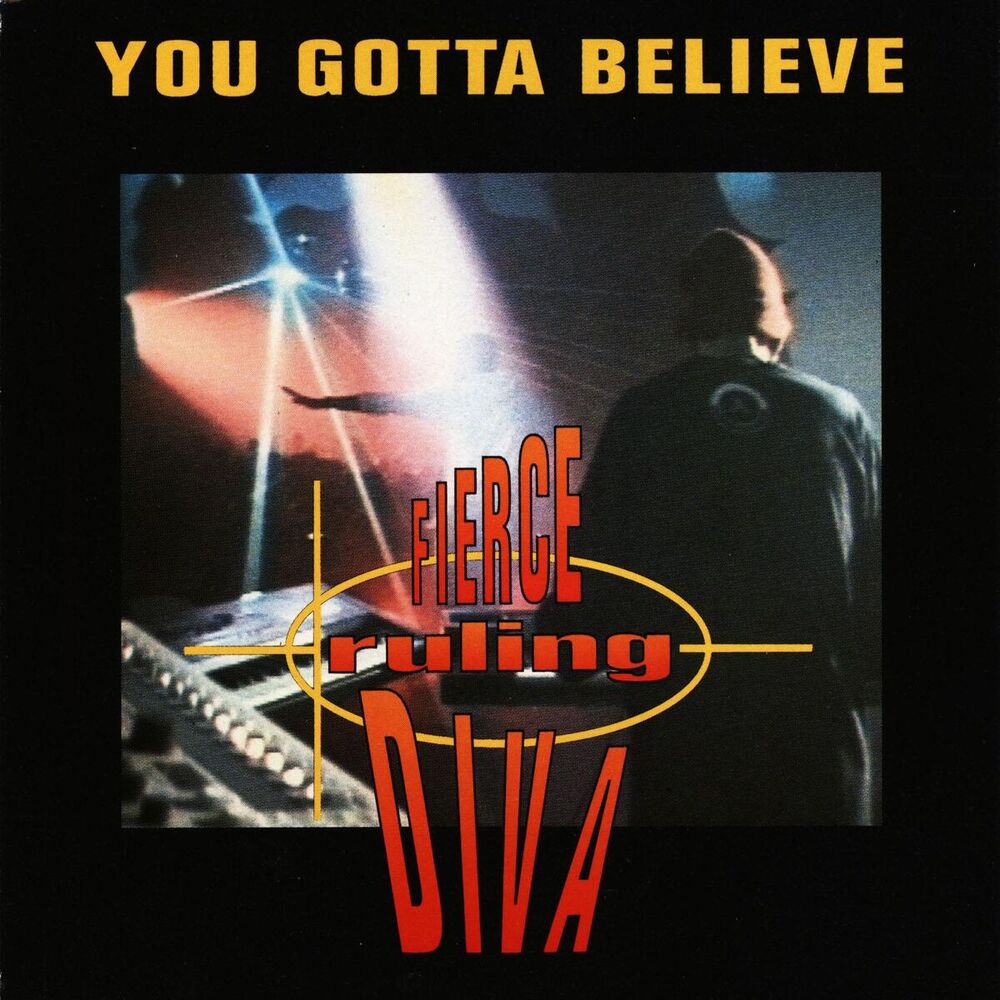 Picture of You Gotta Believe