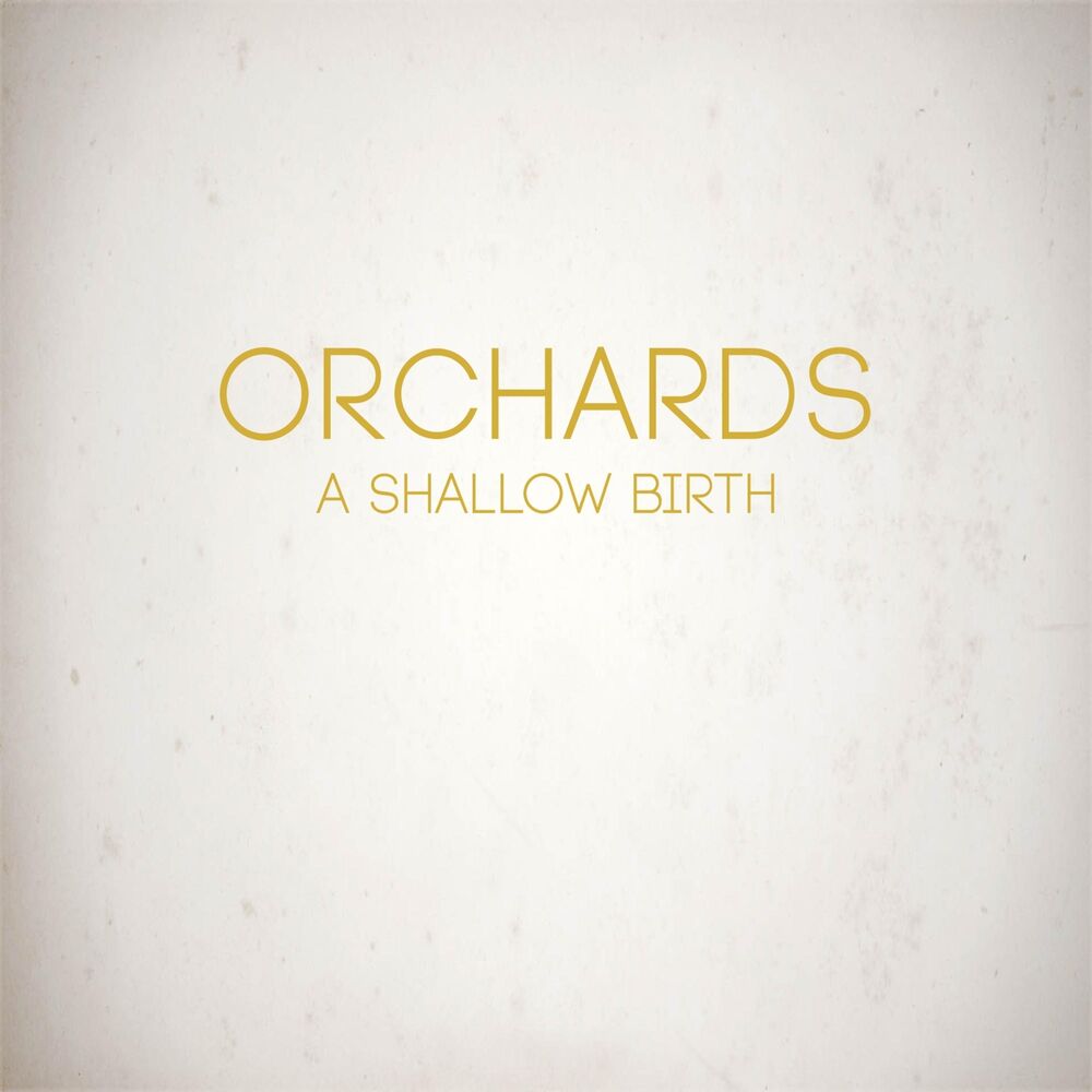 Picture of A Shallow Birth