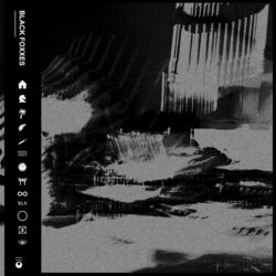 Cover of Black Foxxes (Deluxe)