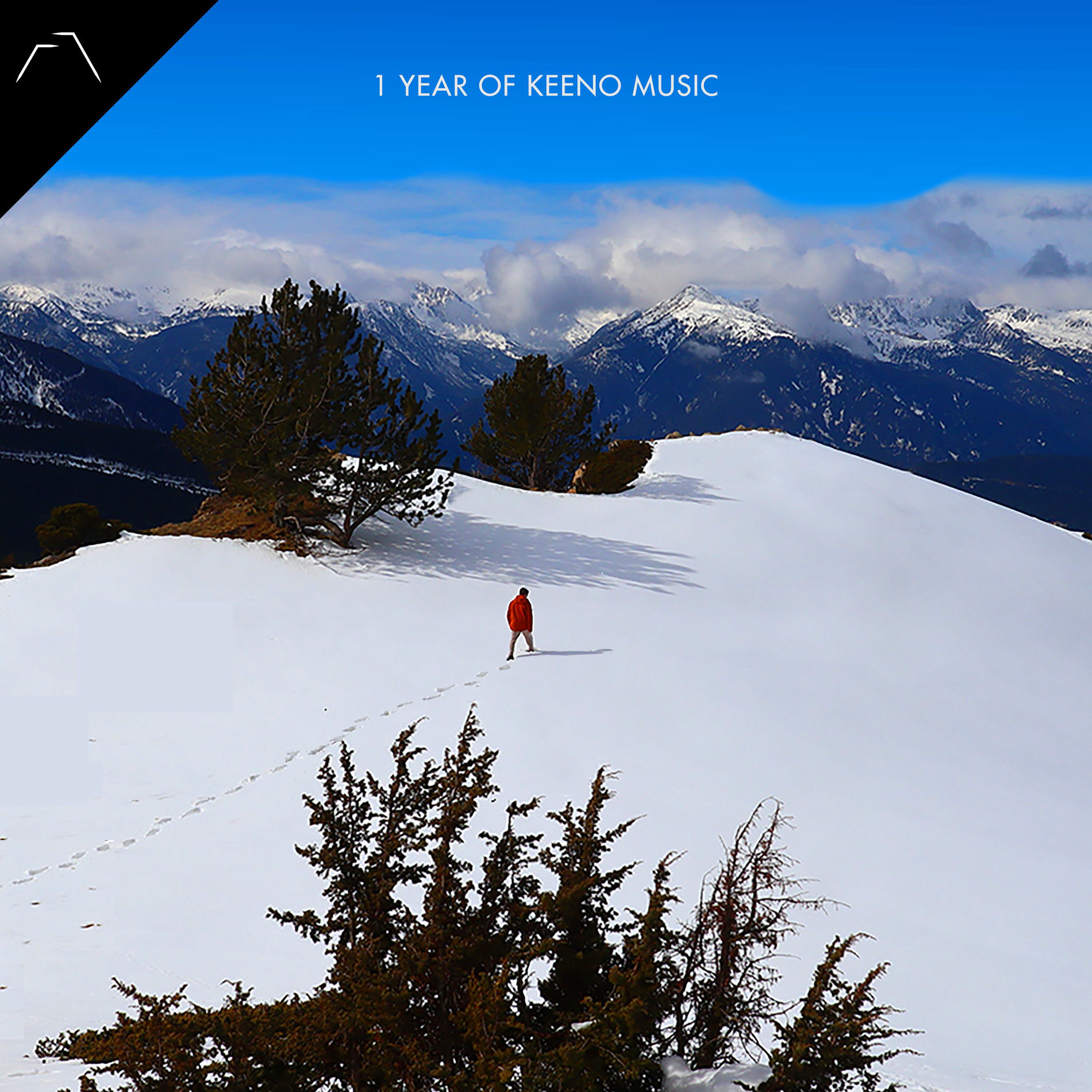 Album cover of To Feel OK Again