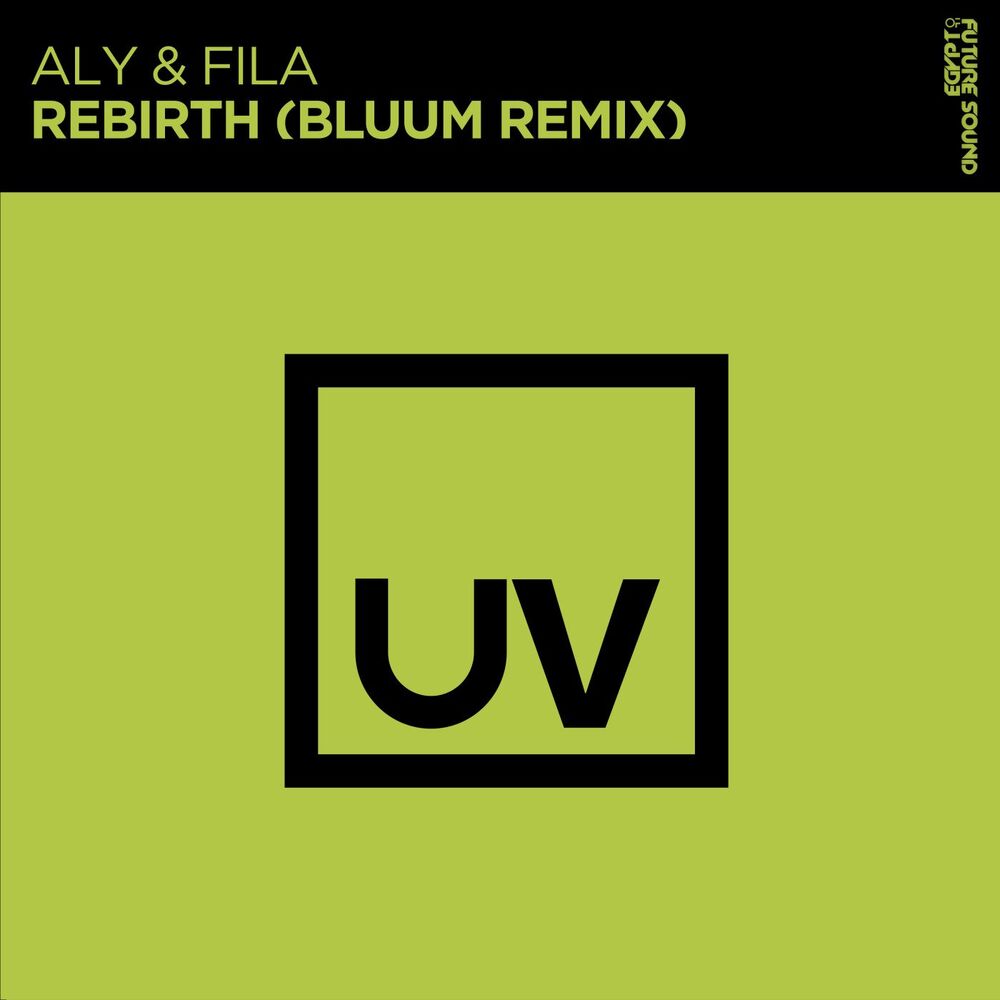 Picture of Rebirth (Bluum Remix)